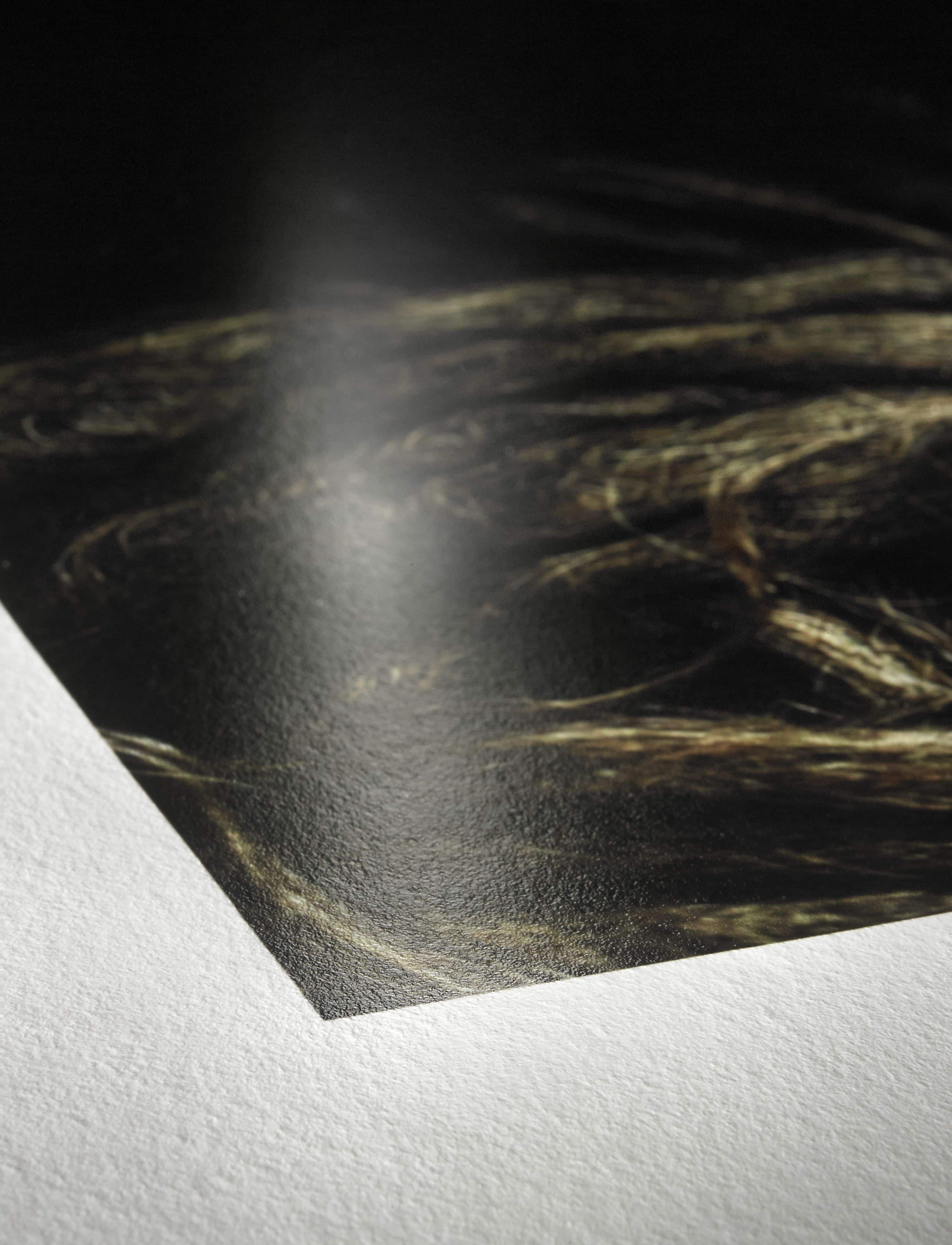 Hahnemuhle Photo Rag Baryta 315 gsm Detail