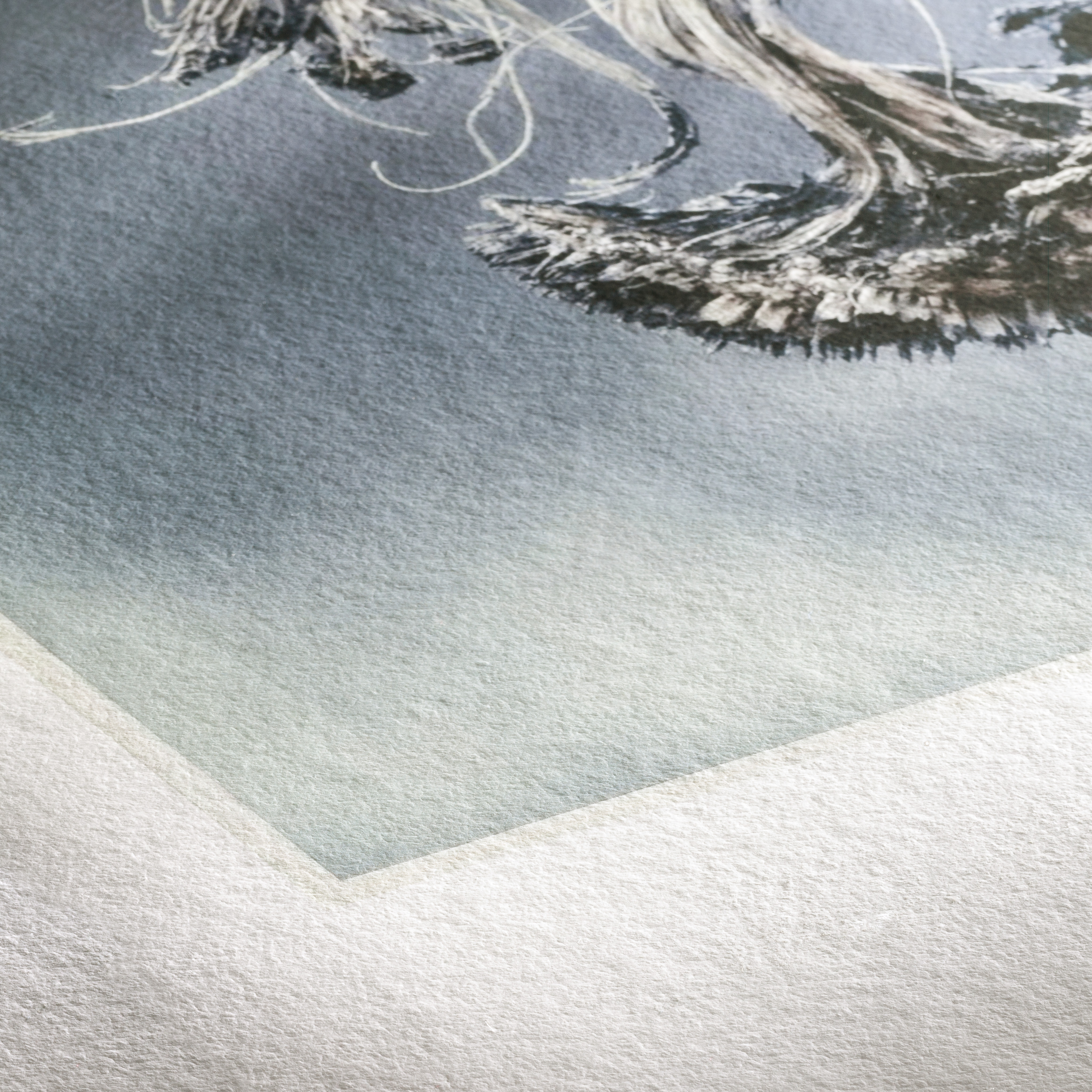 Hahnemuehle Museum Etching 350 gsm Detail View